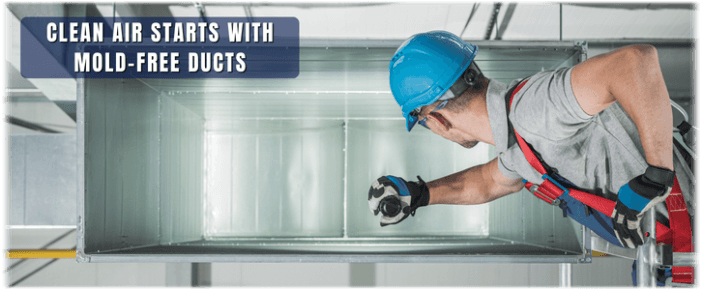 Air Duct Mold Removal in Batavia IL