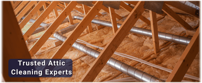Attic Cleaning Batavia IL