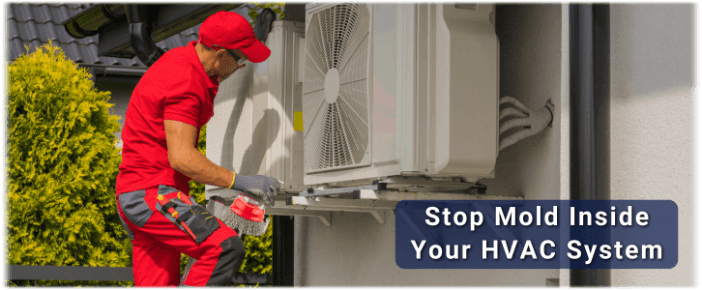 HVAC Mold Removal Batavia IL